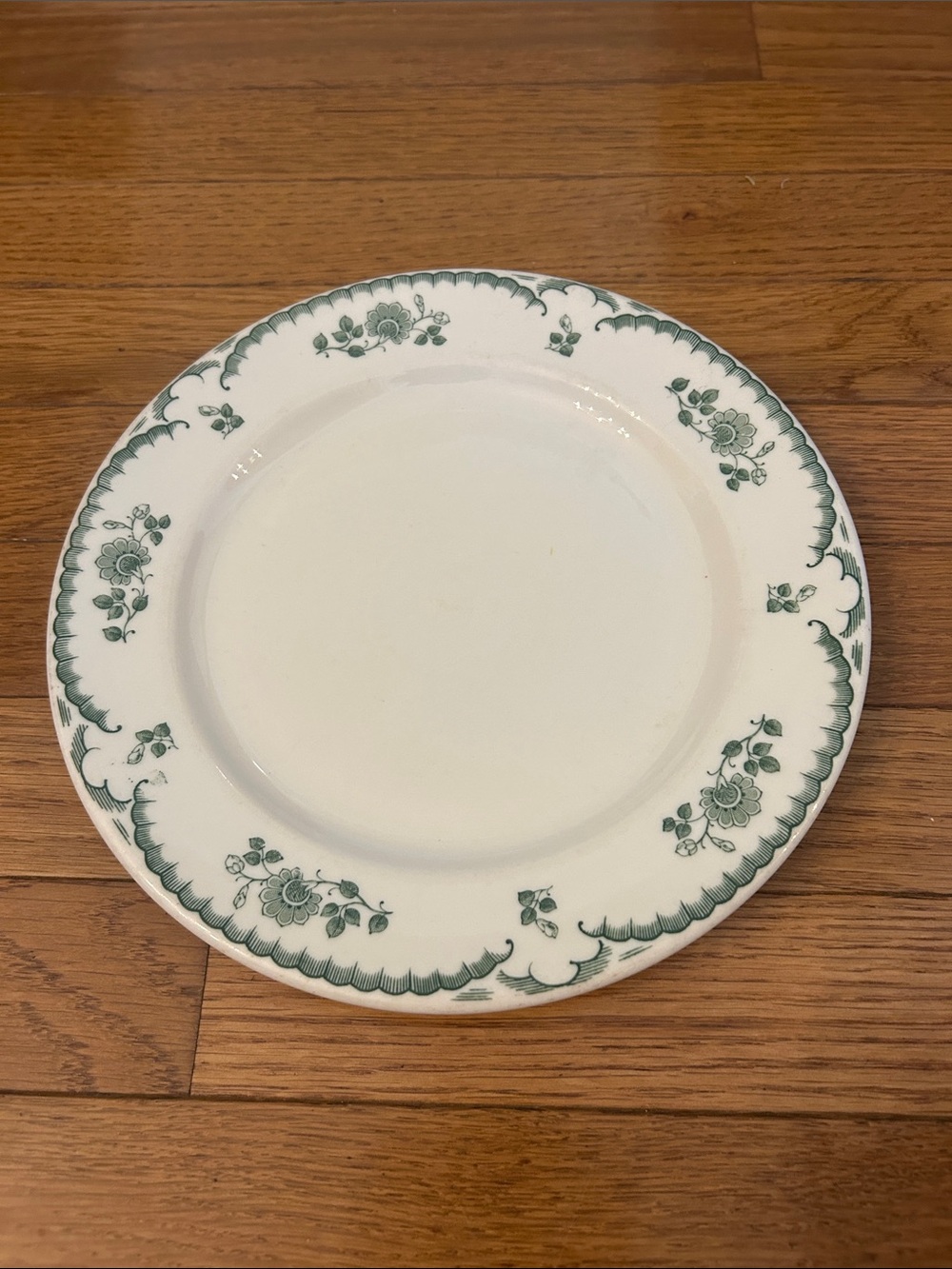 Classic White Ceramic Dinner Plate with Green Floral Trim